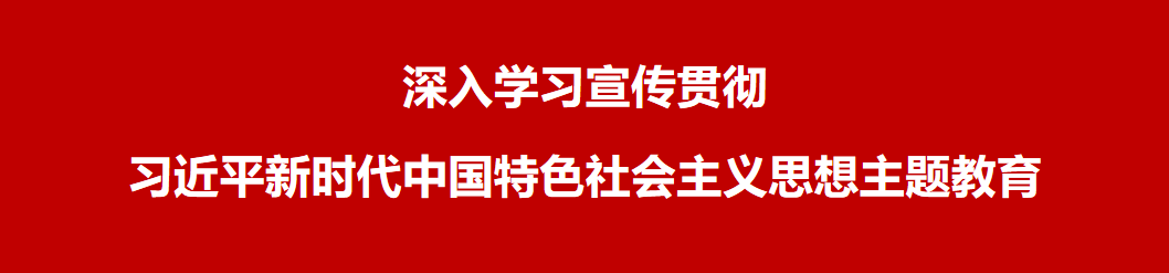 深入学习宣传贯彻习近平新时代中国特色社会主义思想主题教育