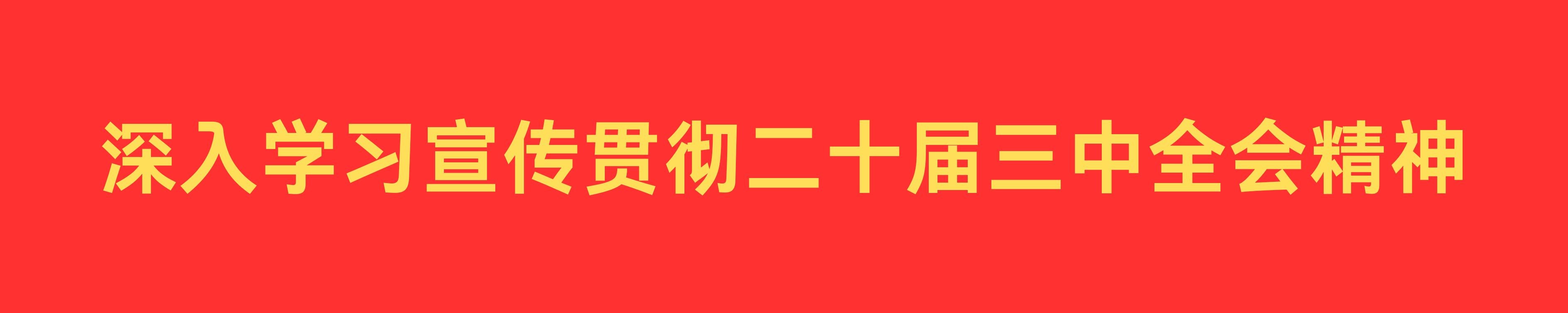 深入学习宣传贯彻二十届三中全会精神