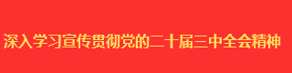 深入学习宣传贯彻党的二十届三中全会精神