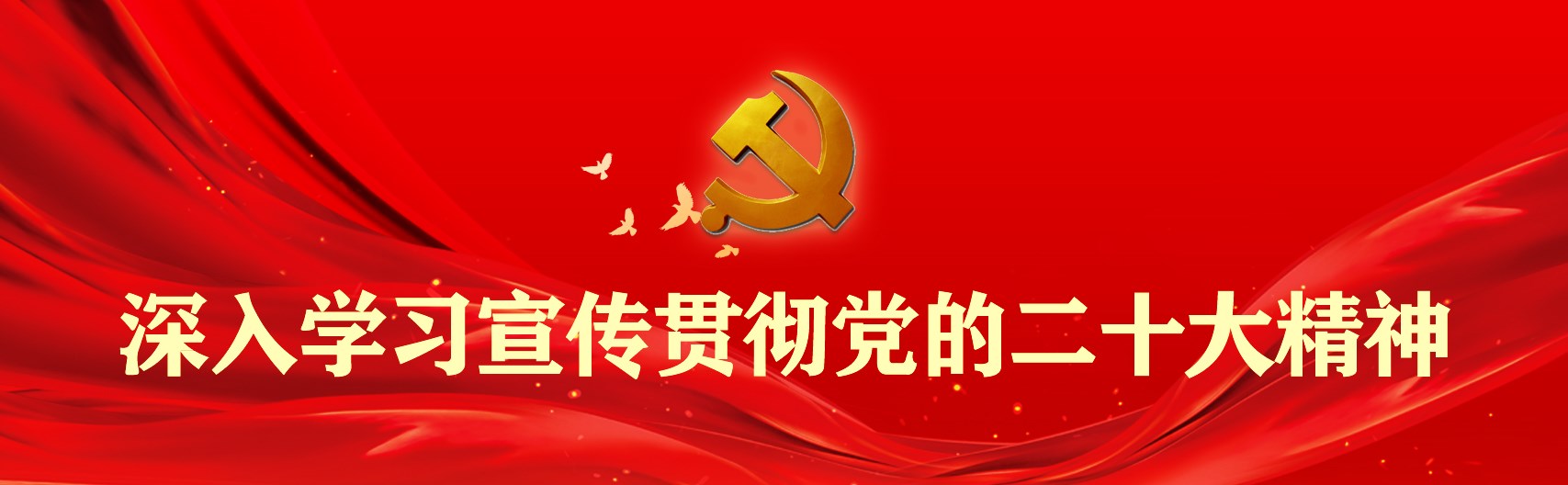 深入学习宣传贯彻党的二十大精神